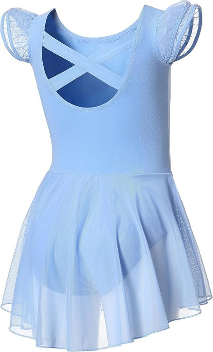 Primary B (Blue)