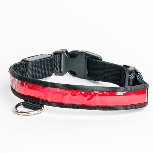 A red LED Dog Collar with a black clip and silver tag holder.